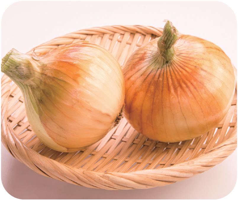 新玉ねぎ